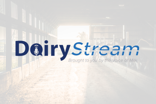 dairystream