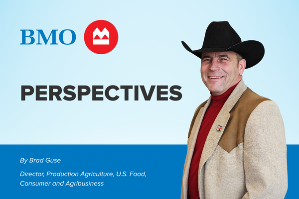 BMO Perspectives (1)